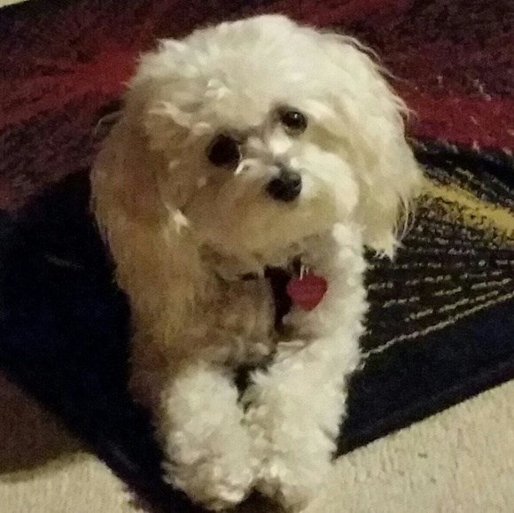 Meet your Posher, Michele - Picture 2 of 2